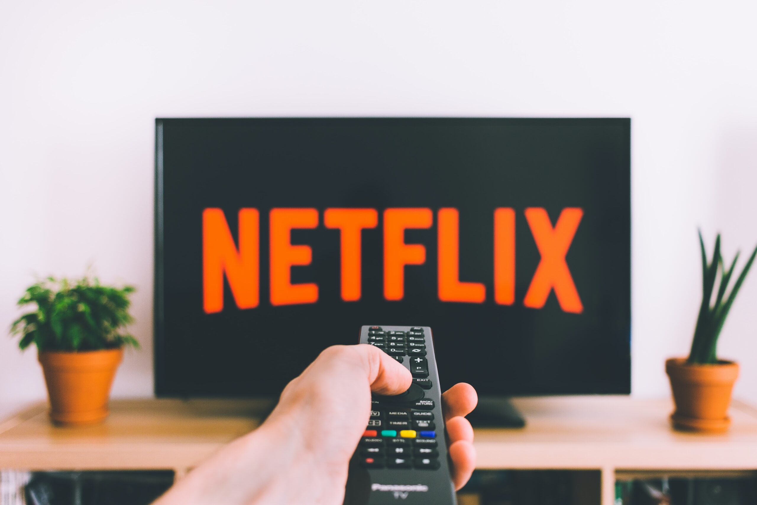 Netflix on the TV