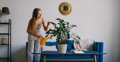 Woman watering her plant at home